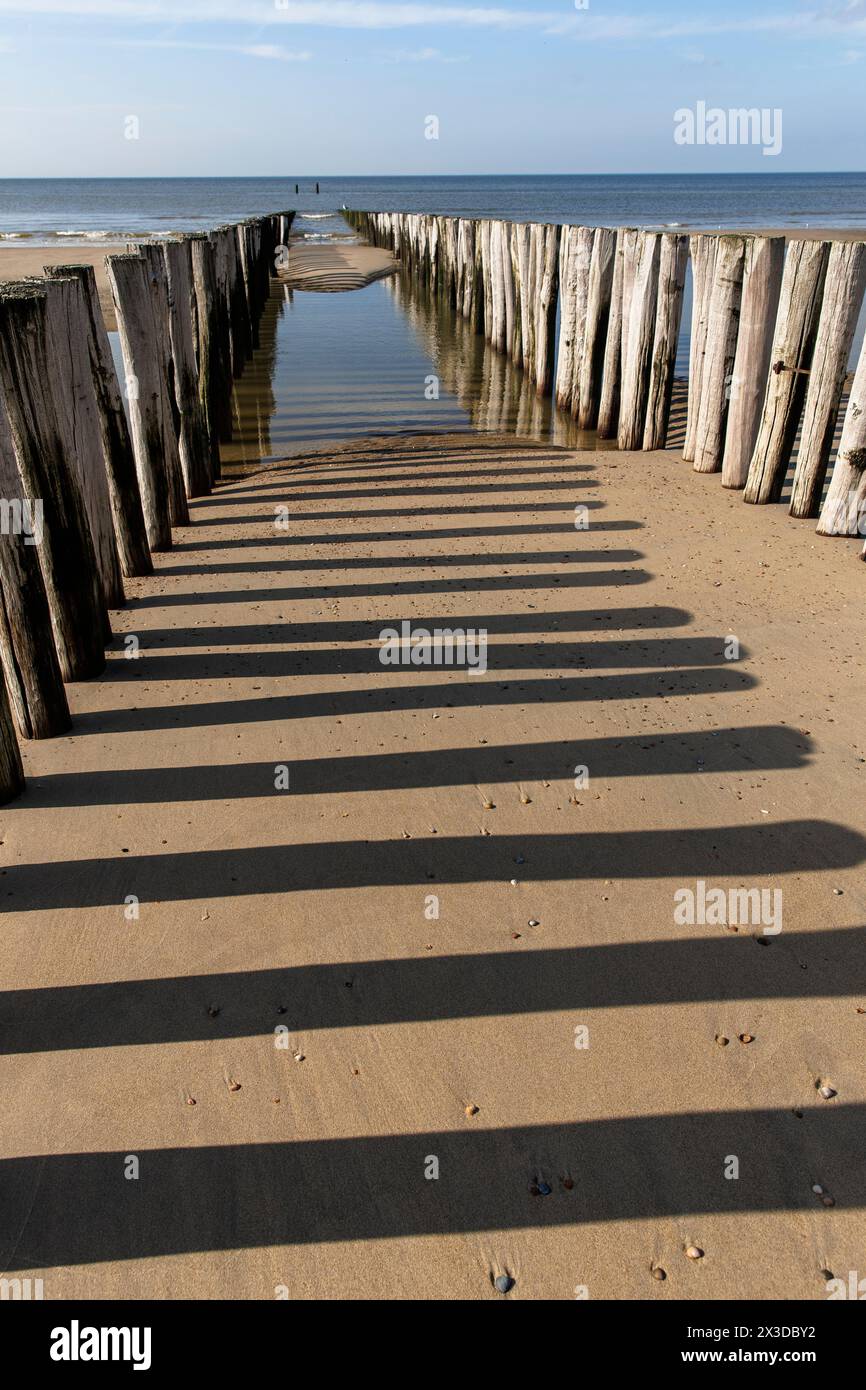 Groyne sulla spiaggia di Domburg a Walcheren, Zelanda, Paesi Bassi. Buhne am Strand von Domburg auf Walcheren, Zelanda, Niederlande. Foto Stock