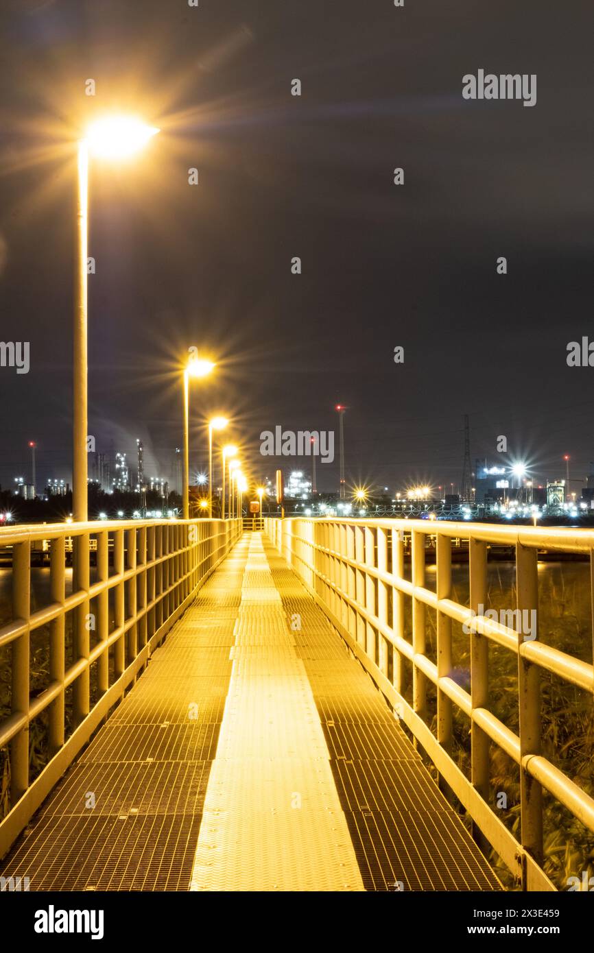 Una scena notturna presenta un ponte pedonale vuoto e ben illuminato che conduce l'occhio verso un paesaggio urbano luminoso in lontananza. I lampioni emettono una calda luce sulla ringhiera in metallo e sulla passerella testurizzata, in contrasto con le fredde sfumature blu del cielo notturno. La prospettiva trasmette un senso di viaggio e di esplorazione urbana. Passerella illuminata che conduce a un paesaggio urbano di notte. Foto di alta qualità Foto Stock