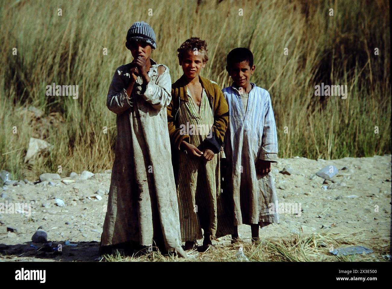 Zukunft ist fuer diese Kinder ein Fremdwort - Armut und elend praegen ihren Lebensalltag Aegypten Oberaegypten Fellachenkinder Edfu Land Armut Elend *** il futuro è una parola straniera per questi bambini povertà e miseria caratterizzano la loro vita quotidiana Egitto alto Egitto Fellah Children Edfu Paese povertà miseria Foto Stock