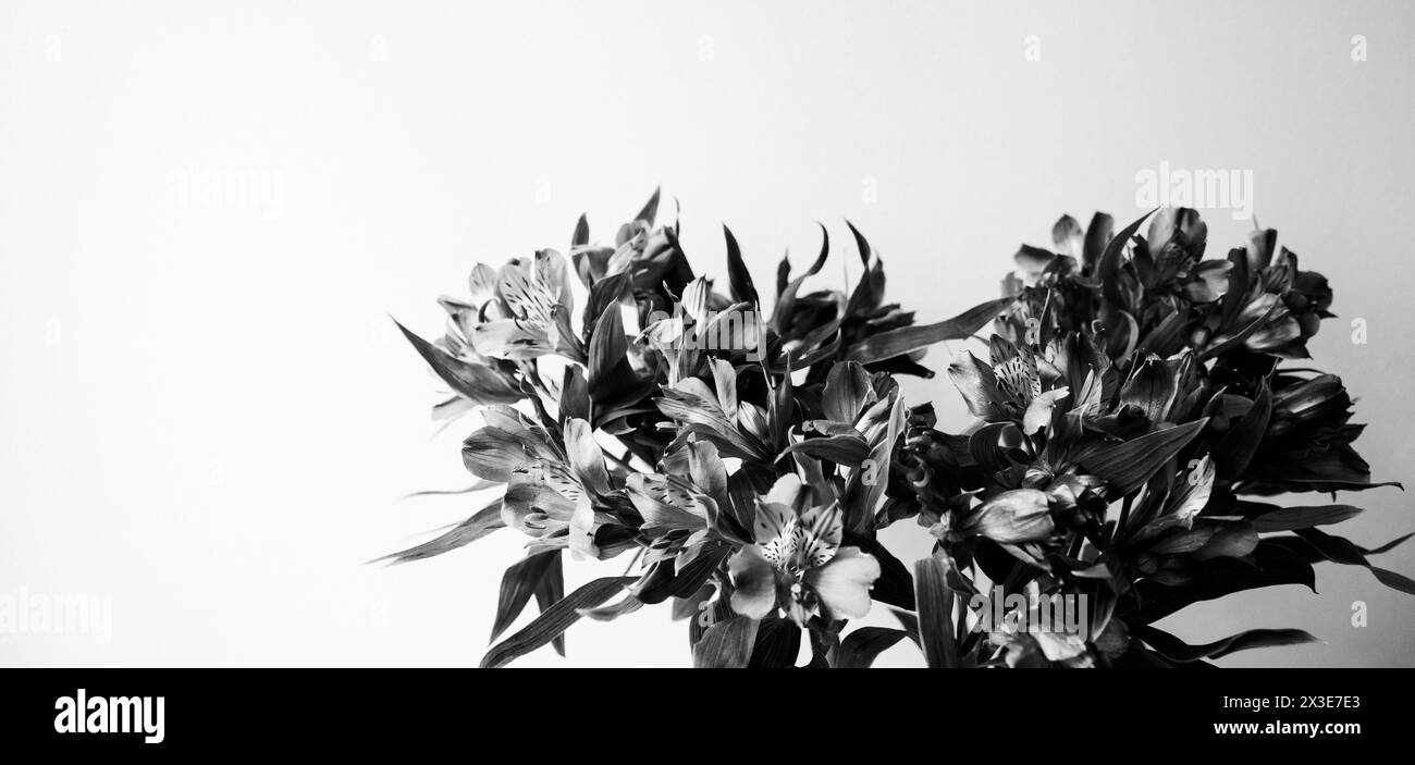 Fiori in lutto. Bouquet di giglio a forma di cuore. Striscione di sfondo astratto di design della carta funeraria in bianco e nero. Concetti di dolore, dolore, memoriale e amore. Foto Stock