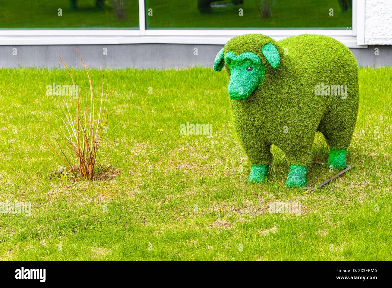 figura paesaggistica di una pecora in piedi sul prato. Foto Stock
