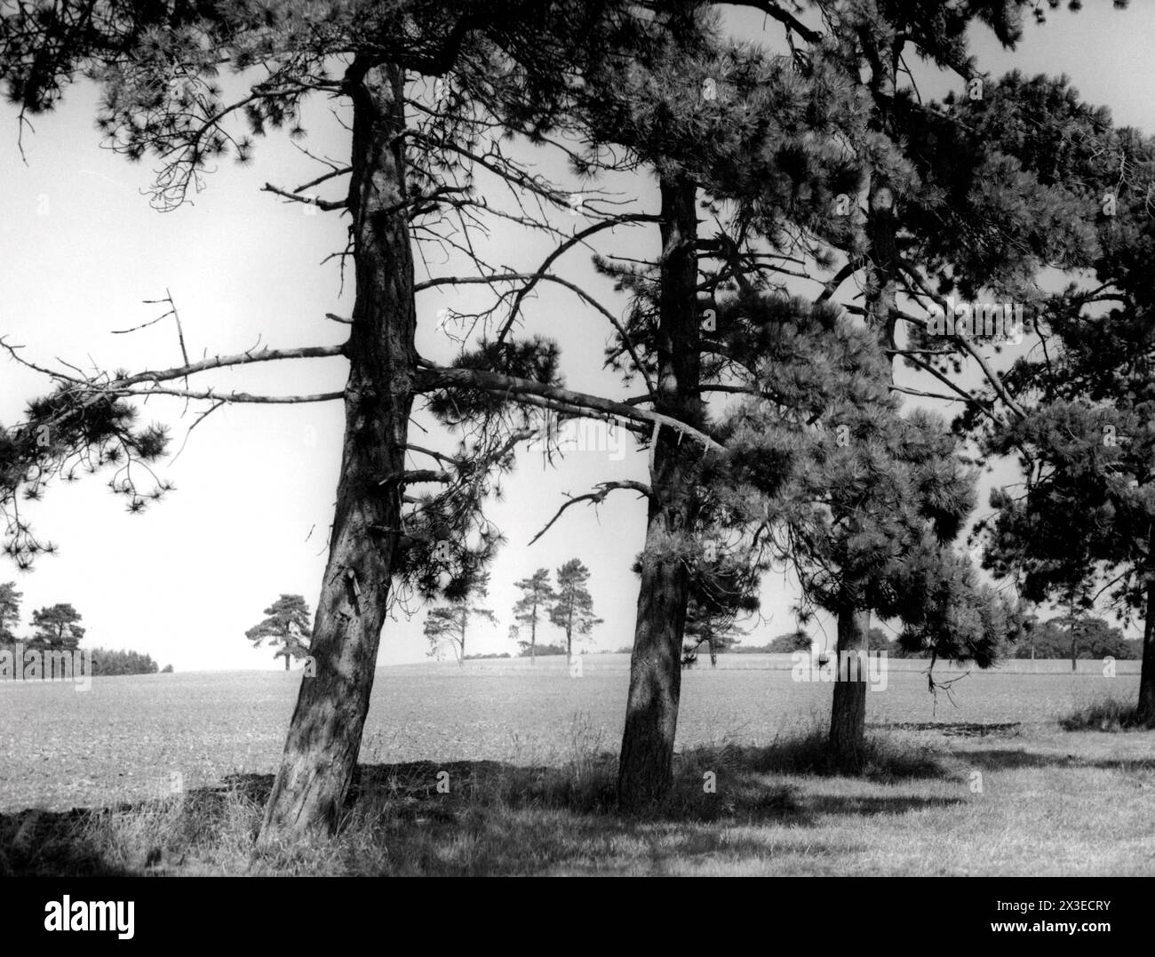 Bredon Hill, Hereford & Worcester - 27 agosto 1981 Foto Stock