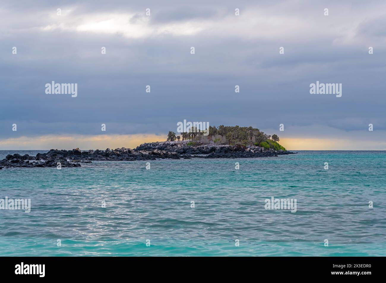 Alba sull'Oceano Pacifico, l'isola di Santa Cruz, il parco nazionale delle Galapagos, Ecuador. Foto Stock