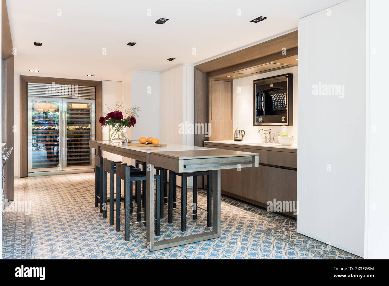 Cucina moderna con refrigeratore per vini di lunghezza intera nell'elegante appartamento di Bruxelles, Belgio, Europa Foto Stock