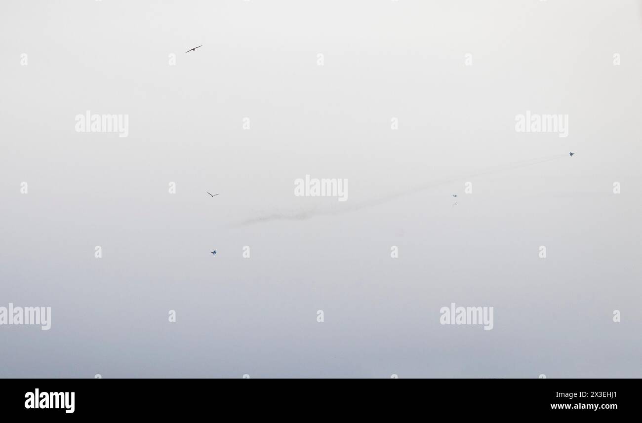 Jet militari che eseguono acrobazie nel cielo. Uccelli in primo piano Foto Stock