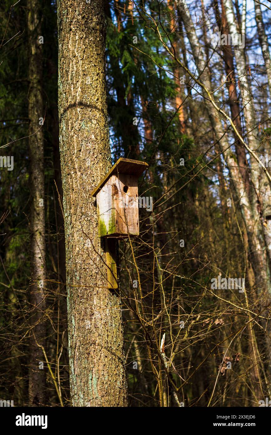 Concept shot della casa degli uccelli in legno Foto Stock