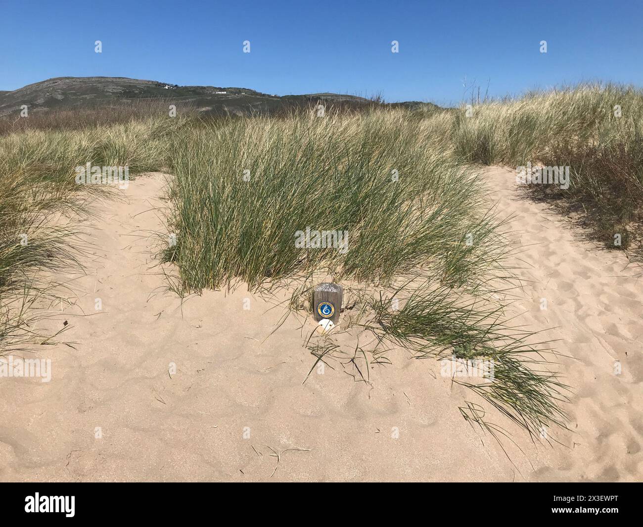 Segnale sepolto per un sentiero costiero sepolto in una duna di sabbia, il Wales Coast Path ha subito un impatto dall'aumento dei livelli di sabbia, dalle tempeste, dai cambiamenti climatici, dalla mancanza di risorse da riparare Foto Stock