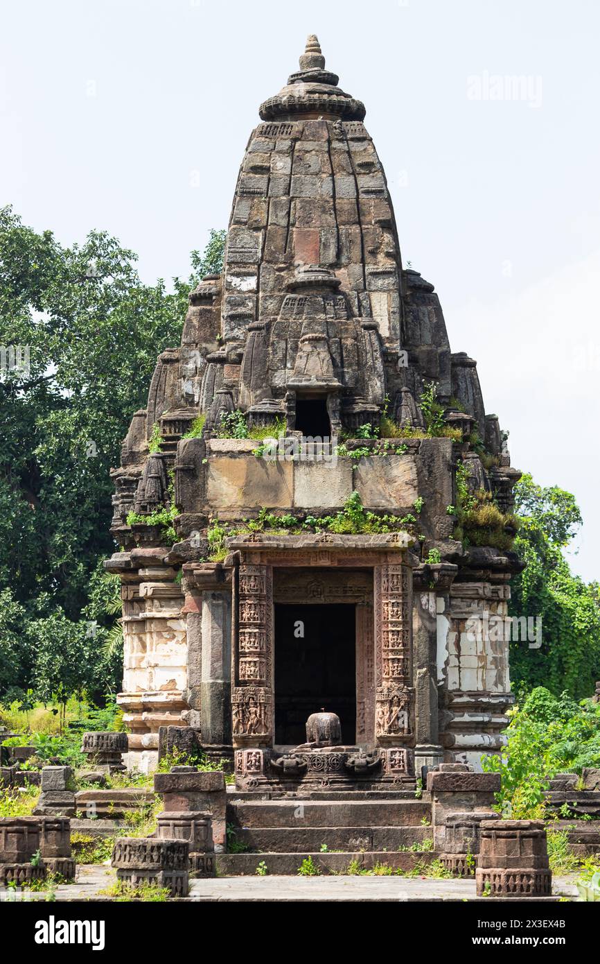 Antica rovina Shikhara dei templi giainisti, monumenti del XV secolo, Polo Forest, Gujarat, India. Foto Stock