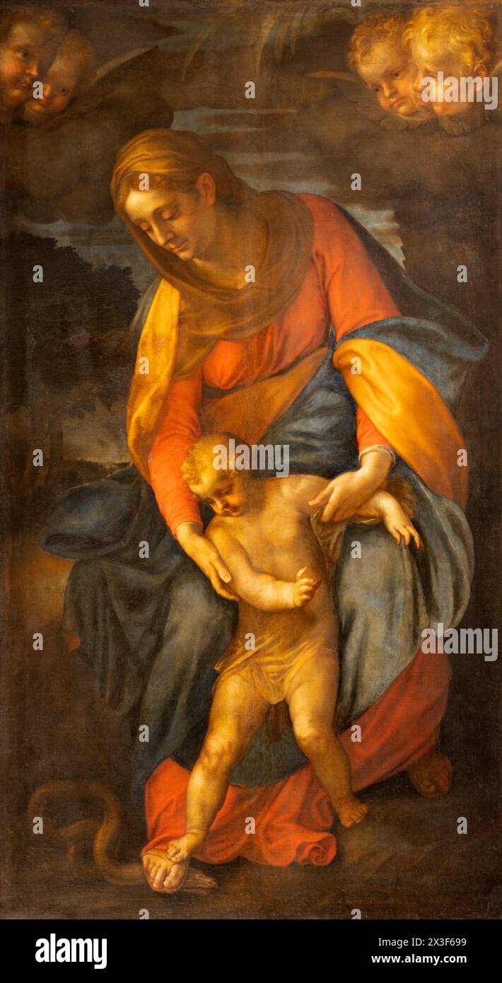 MILANO, ITALIA - 4 MARZO 2024: Il dipinto della Madonna nella chiesa di San Nazaro a Brolo di Giovanni Ambrogio Figino ispirato da Caravagio Foto Stock