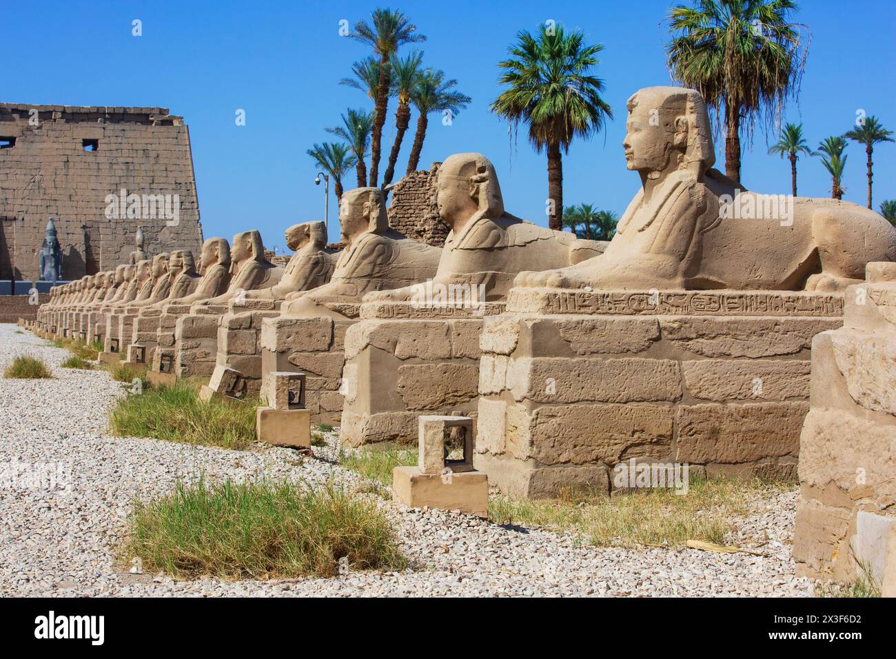 Il vicolo della Sfinge conduce al tempio di Luxor (patrimonio dell'umanità dell'UNESCO) a Luxor, Egitto Foto Stock