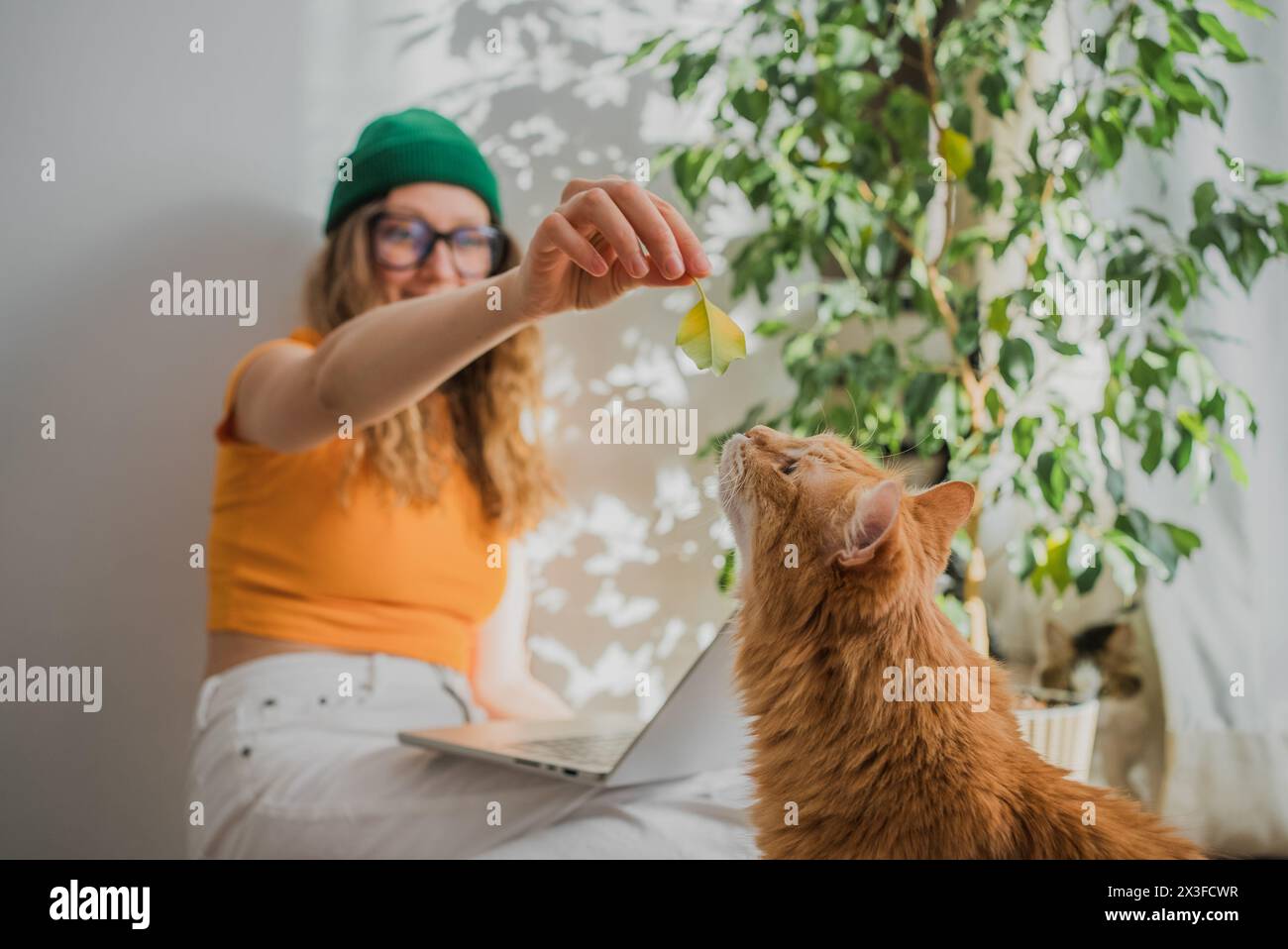 Divertente gatto arancione con donna distratta dal lavoro su laptop di Houseplant. Una donna gioiosa si impegna con il suo gatto zenzero, penzolando giocosamente una foglia in una stanza piena di luce, catturando un momento di connessione e divertimento Foto Stock