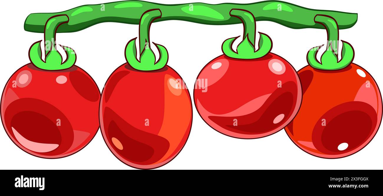 Illustrazione dei pomodori su un vettore di diramazione Illustrazione Vettoriale