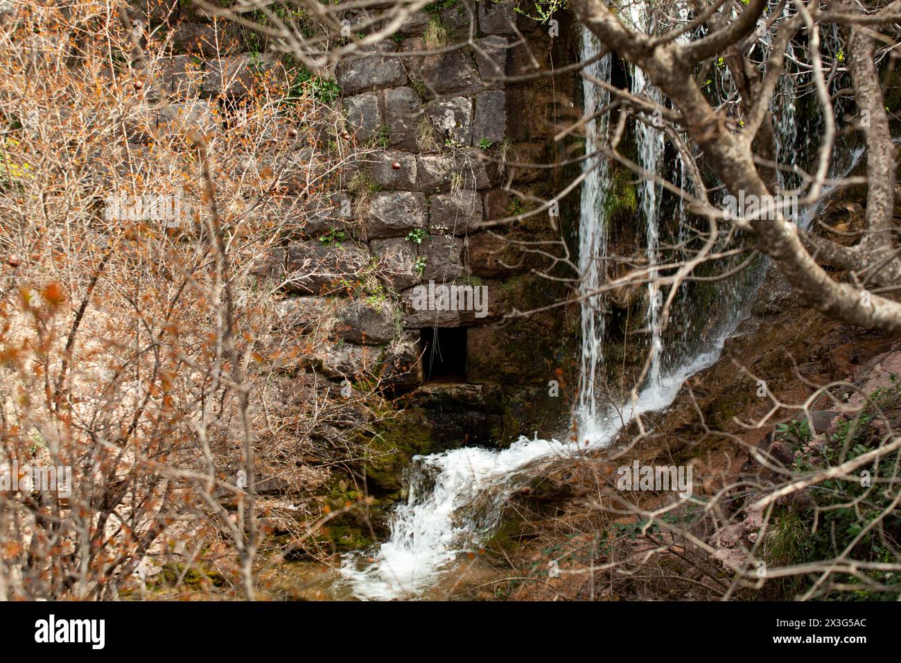 Primo piano di una piccola cascata di splendida natura in Montenegro. Vista attraverso gli alberi. Orizzontale. Per il testo Foto Stock