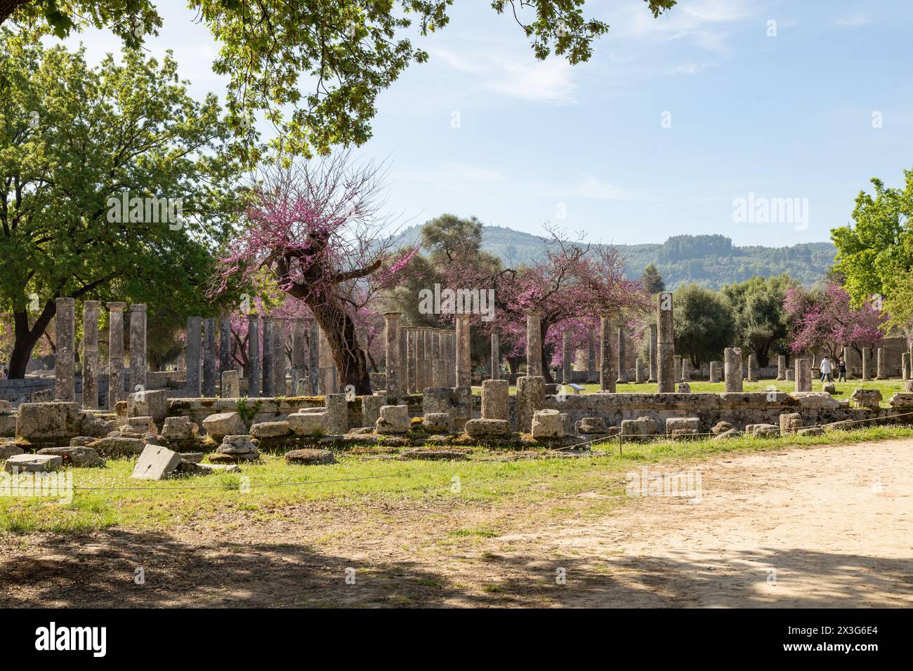 Palestra (2° centesimo B.C) Antica Olimpia, Peloponneso, Grecia, Europa. Foto Stock