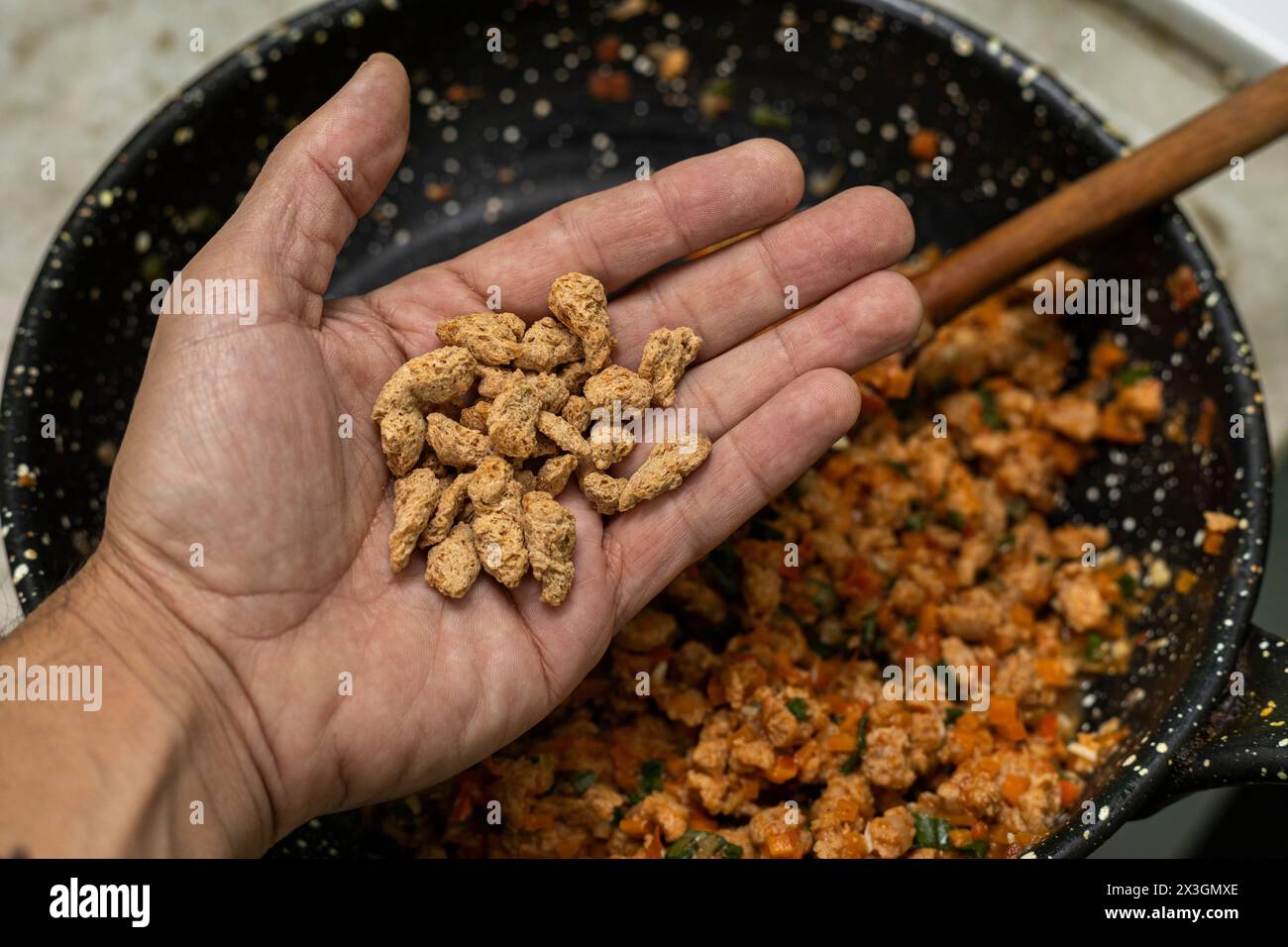Soia testurizzata nel palmo della tua mano, ripieno di empanadas argentine. Cucina vegetariana e vegana Foto Stock