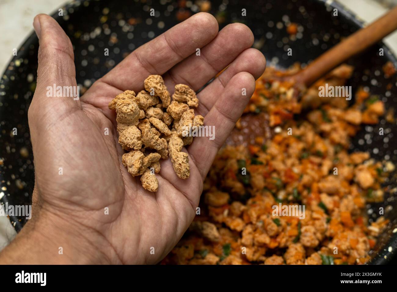 Soia testurizzata nel palmo della tua mano, ripieno di empanadas argentine. Cucina vegetariana e vegana Foto Stock