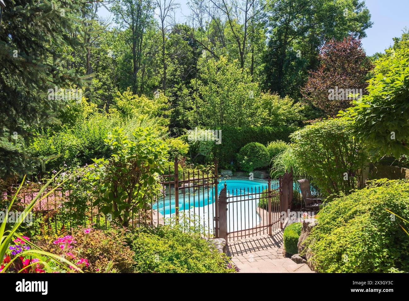 In terreno piscina circondata da color rame ferro battuto metallo recinzione di sicurezza e varie piante perenni, arbusti e alberi nel cortile del Foto Stock