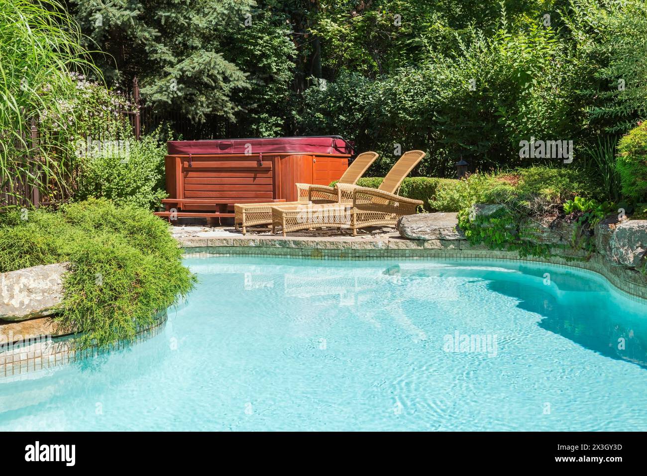 Piscina al piano terra circondata da recinzione di sicurezza in metallo battuto color rame e varie piante perenni, arbusti e alberi in zona residenziale Foto Stock