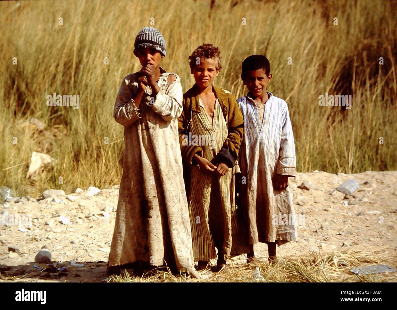 Zukunft ist fuer diese Kinder ein Fremdwort - Armut und elend praegen ihren Lebensalltag Aegypten Oberaegypten Fellachenkinder Edfu Land Armut Elend *** il futuro è una parola straniera per questi bambini povertà e miseria caratterizzano la loro vita quotidiana Egitto alto Egitto Fellah Children Edfu Paese povertà miseria Foto Stock