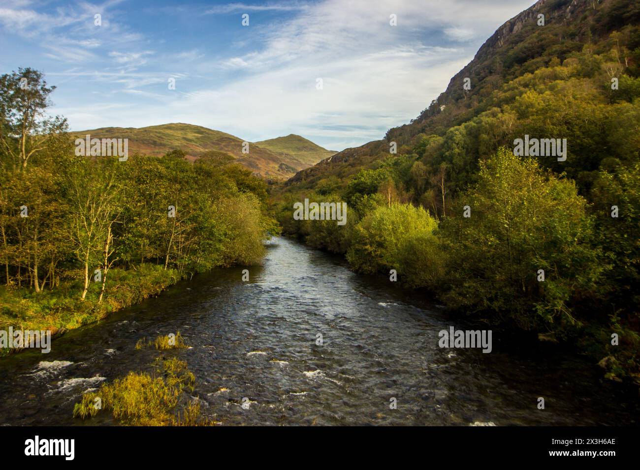 Il fiume Glaslyn (Aflon Glaslyn), che scorre attraverso una gola boscosa nelle montagne che circondano il piccolo villaggio gallese di Beddgelert Foto Stock