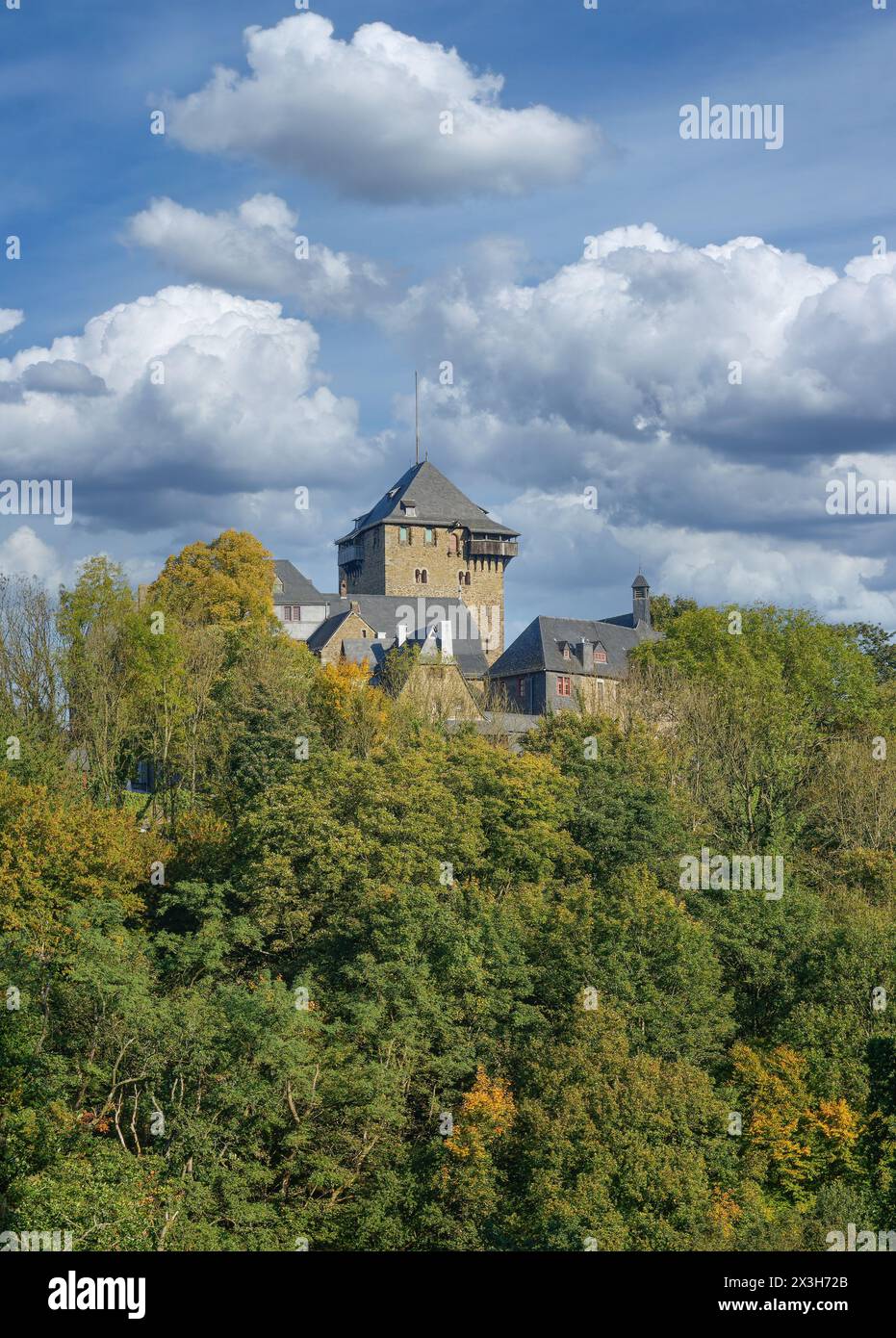 Castello Schloss Burg a Solingen, Bergisches Land, Renania settentrionale Vestfalia, Germania Foto Stock