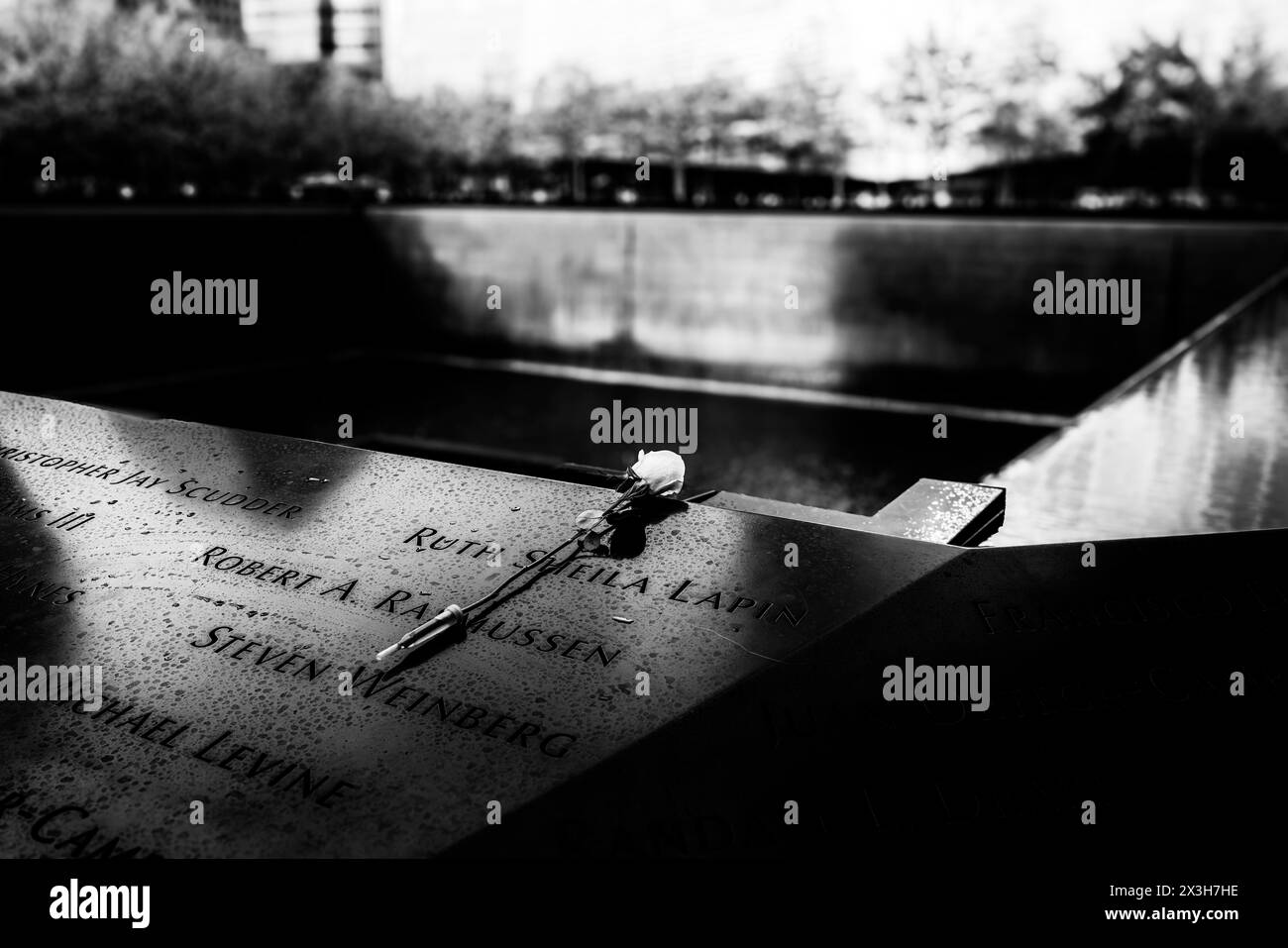 Un solo fiore collocato sul National September 11 Memorial - il 9/11 Memorial a Lower Manhattan, New York City. Foto Stock