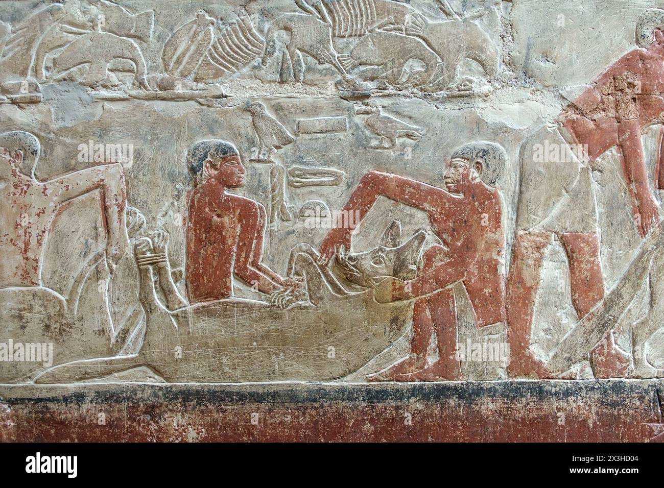 Sollievo che mostra l'alimentazione forzata della iena nella tomba della Mastaba di Mereruka, Saqqara, Egitto Foto Stock