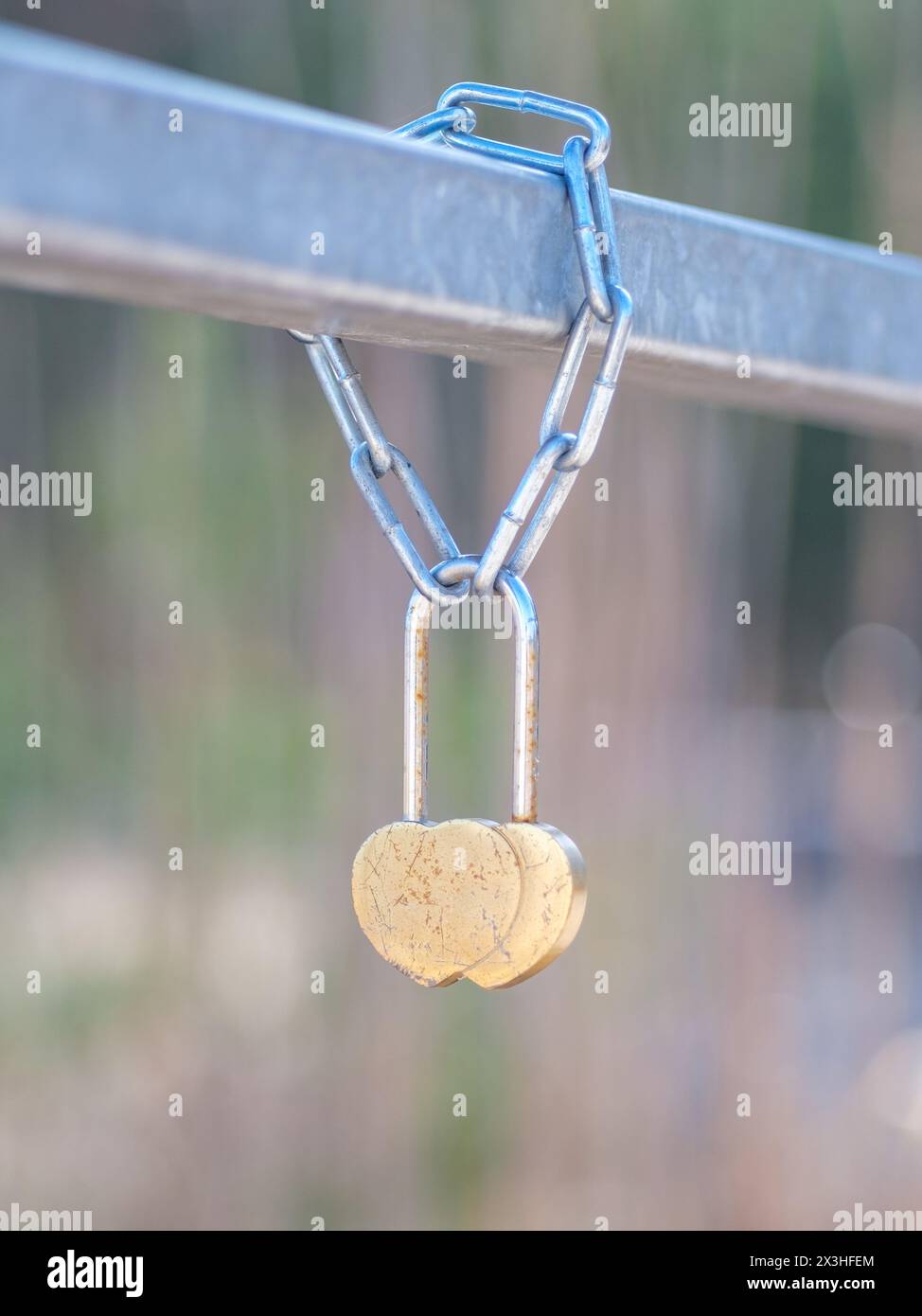 Adornate con simboli d'amore, queste serrature a forma di cuore che adornano la coda di ponte della Lettonia raccontano storie d'amore durature, legate per sempre nel cuore di Foto Stock