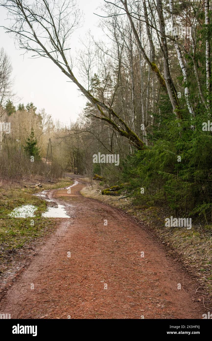 Serpeggiando attraverso la fitta foresta, la strada di argilla rossa vicino alle scogliere di Licu-Langu trasuda fascino rustico, invitando gli avventurieri ad esplorare le onde naturali della Lettonia Foto Stock