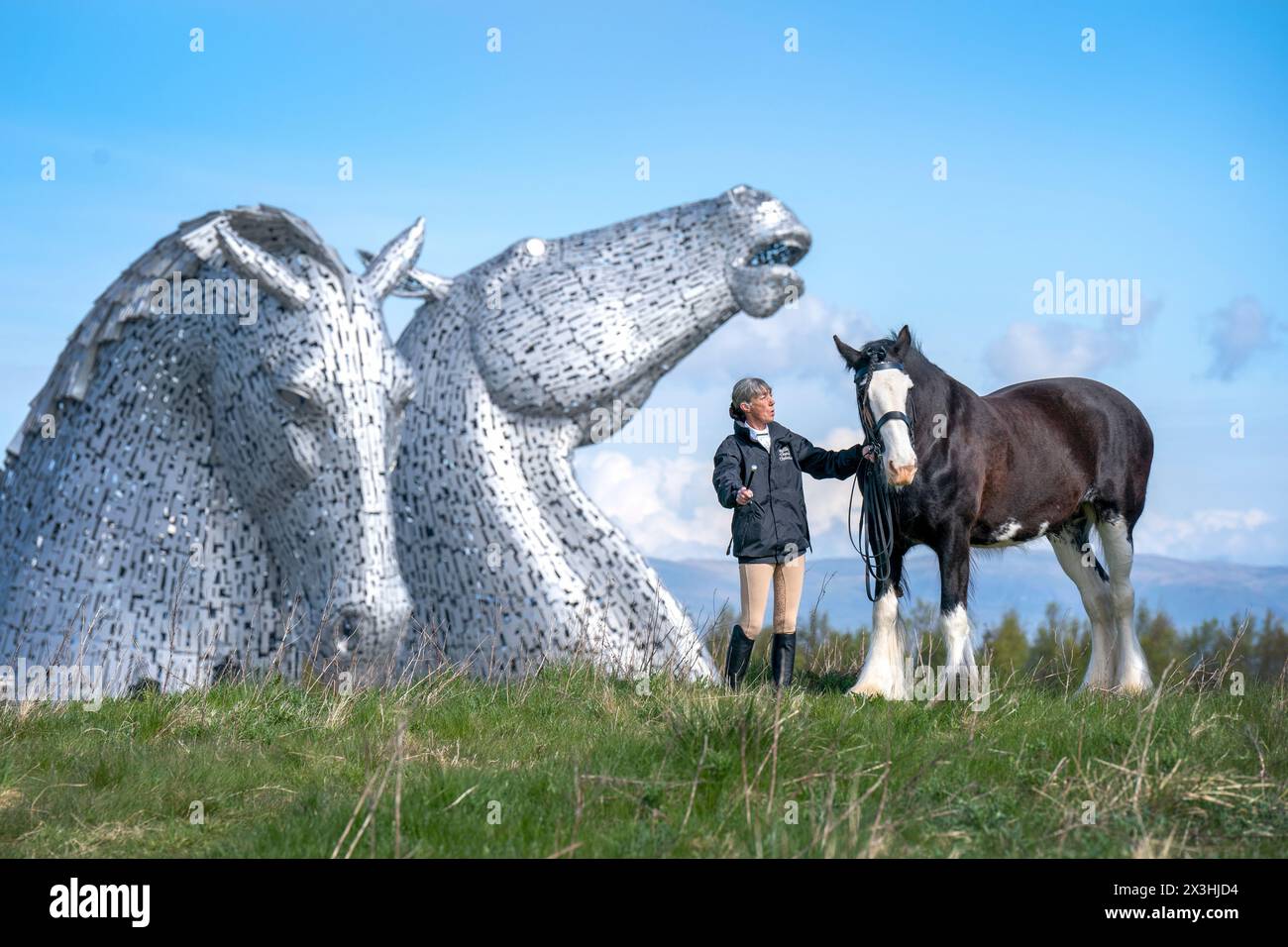 Amanda Merchant con il cavallo di Clydesdale Maggie May durante un giorno speciale per celebrare il decimo anniversario della scultura Kelpies a Falkirk. Data foto: Sabato 27 aprile 2024. Foto Stock