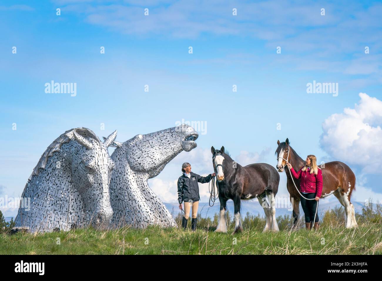 Amanda Merchant (a sinistra) e Kelly Stirling (a destra) con i cavalli Clydesdale Maggie May e Iona durante un evento speciale per celebrare il decimo anniversario della scultura Kelpies a Falkirk. Data foto: Sabato 27 aprile 2024. Foto Stock