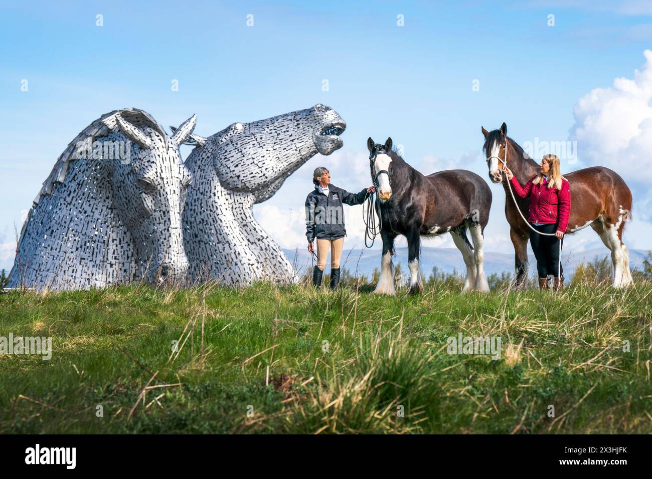 Amanda Merchant (a sinistra) e Kelly Stirling (a destra) con i cavalli Clydesdale Maggie May e Iona durante un evento speciale per celebrare il decimo anniversario della scultura Kelpies a Falkirk. Data foto: Sabato 27 aprile 2024. Foto Stock
