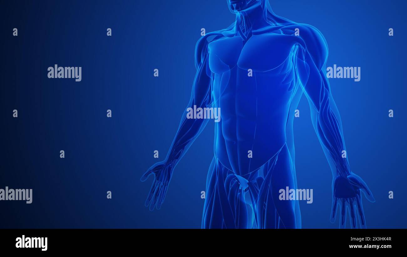 Dolori muscolari con sfondo blu Foto Stock