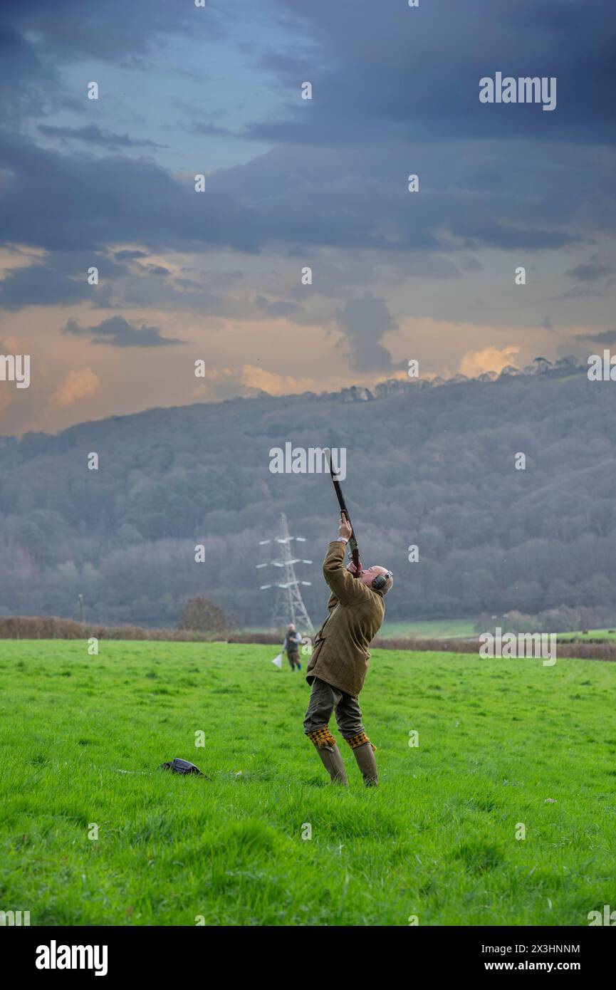 Uomo fagiani di ripresa Foto Stock