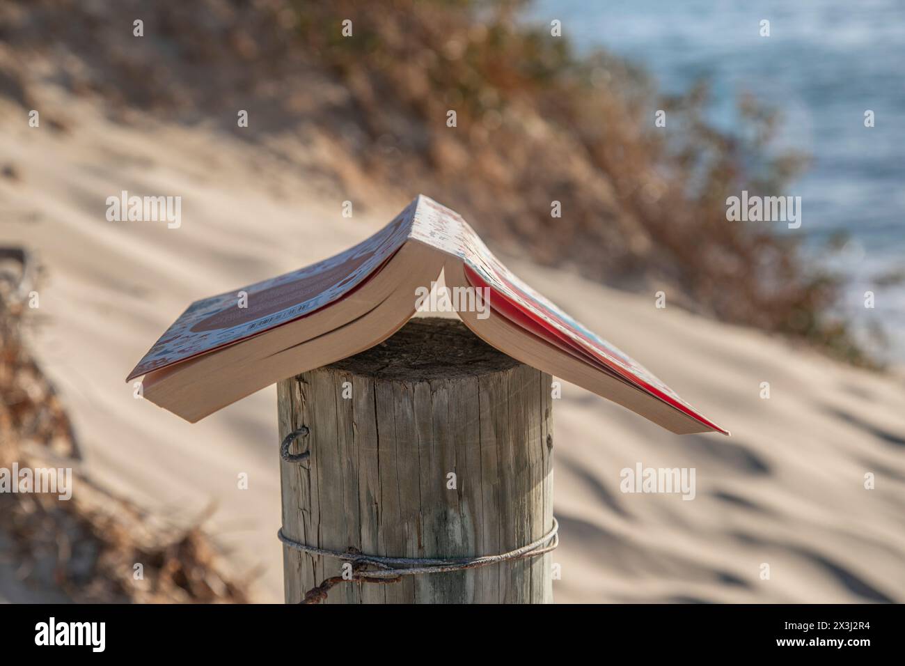 Leggere un libro in spiaggia Foto Stock