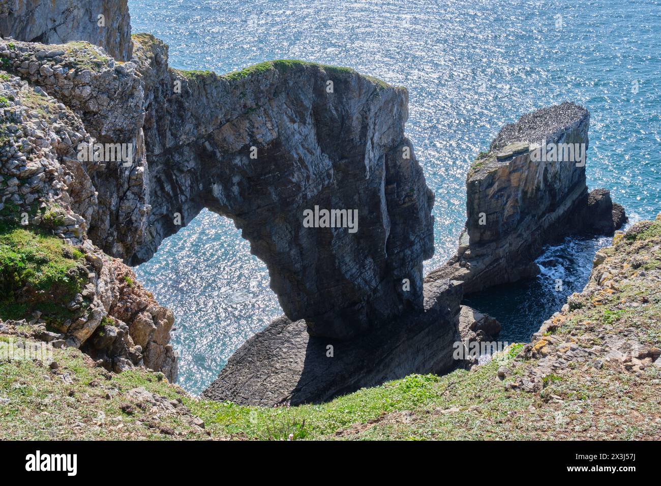 Green Bridge of Wales, Merrion, vicino a Castlemartin, Pembrokeshire, Galles Foto Stock