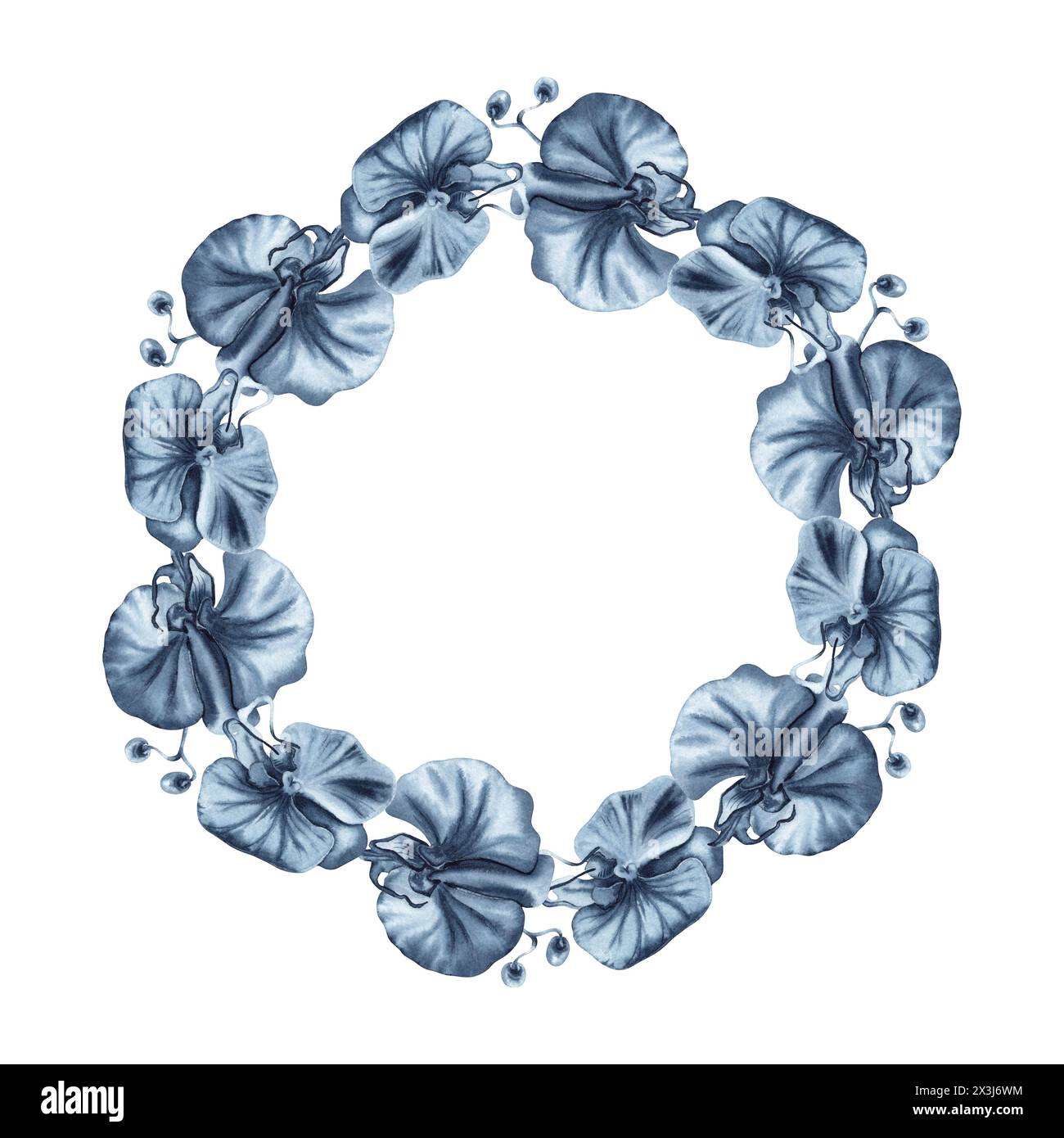 Corona floreale con fiori e gemme di orchidea blu. Illustrazione ad acquerello disegnata a mano isolata su sfondo bianco. Cornice rotonda monocromatica Indigo Foto Stock