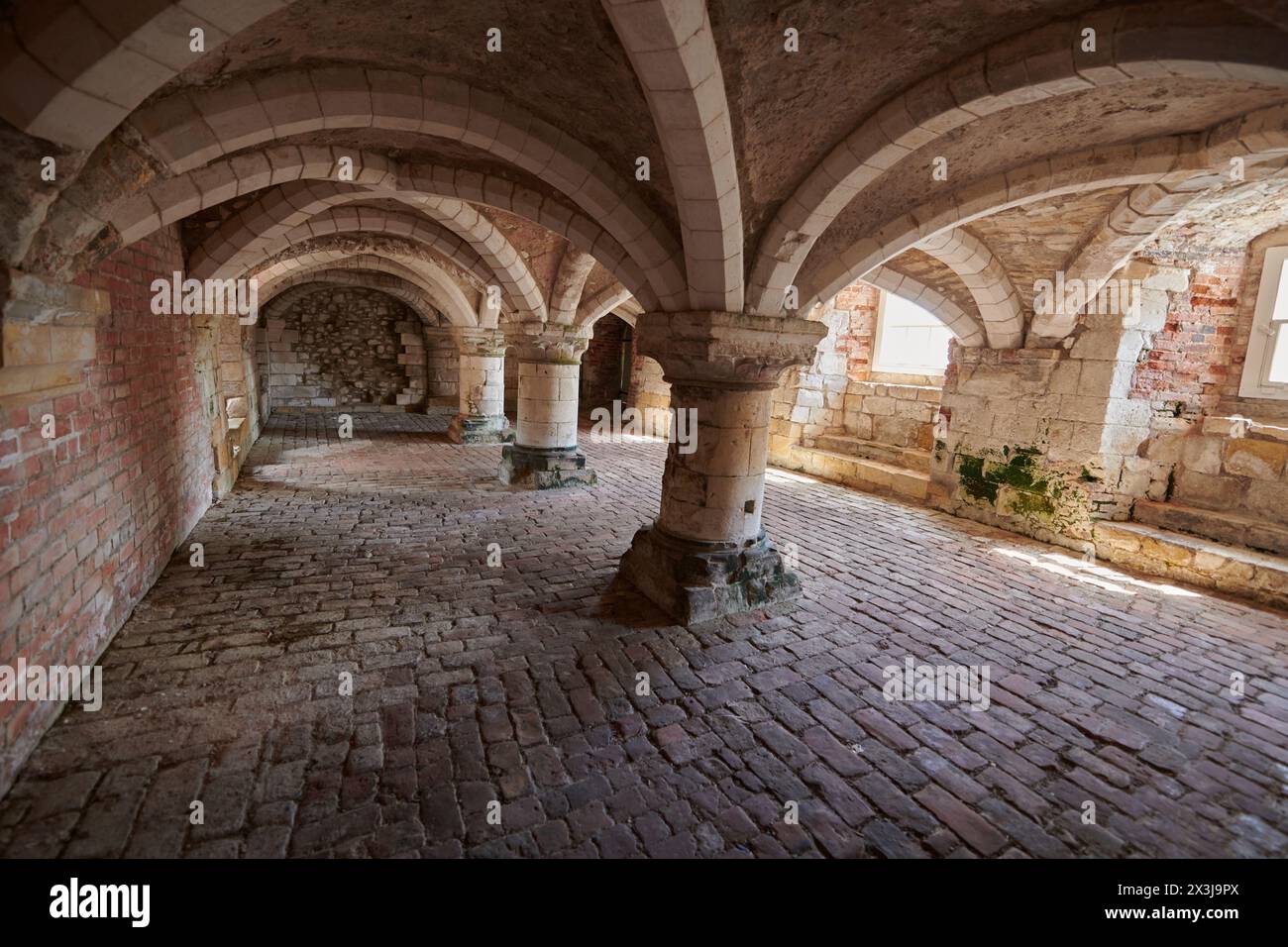 Antica cantina a volta in mattoni con colonne e archi robusti, dettagli architettonici storici Foto Stock