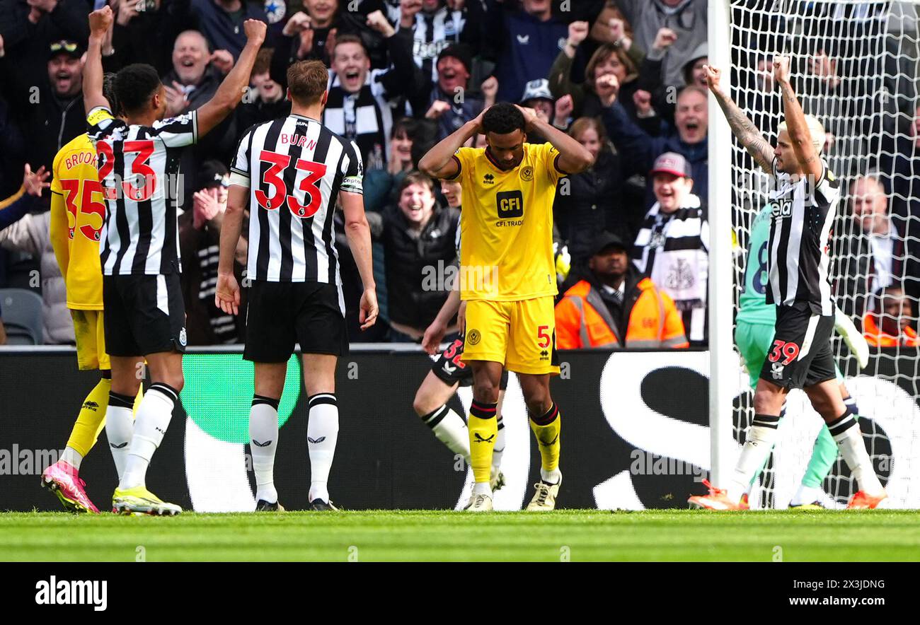 I giocatori dello Sheffield United sembrano delusi dal fatto che Bruno Guimaraes (a destra) del Newcastle United e i compagni di squadra celebrano il quarto gol della loro squadra, segnato tramite un autogol da Ben Osborn dello Sheffield United (non illustrato) durante la partita di Premier League a St James' Park, Newcastle upon Tyne. Data foto: Sabato 27 aprile 2024. Foto Stock