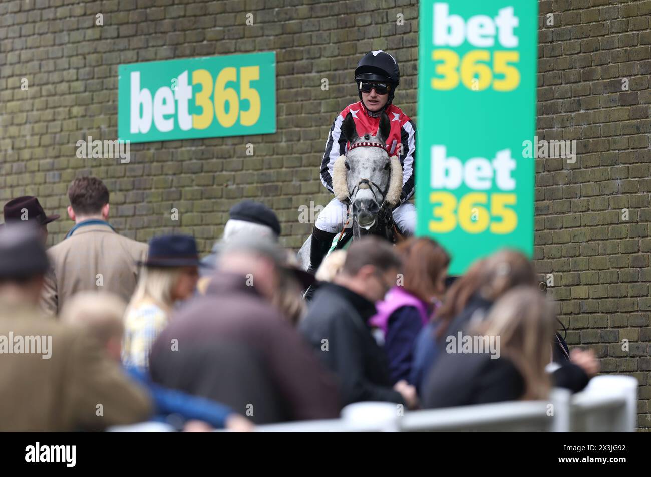 Jack fan della paglia con il fantino Sean Houlihan prima del bet365 Oaksey Chase il giorno finale del salto bet365 all'ippodromo di Sandown Park, Esher. Data foto: Sabato 27 aprile 2024. Foto Stock