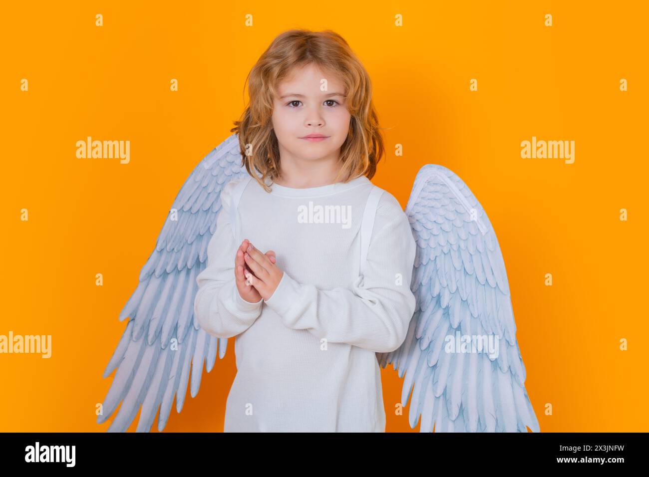 Ragazzi di preghiera dell'angelo. San Valentino. Il piccolo cupido angelo bambino con le ali. Ritratto in studio di un ragazzo angelico Foto Stock