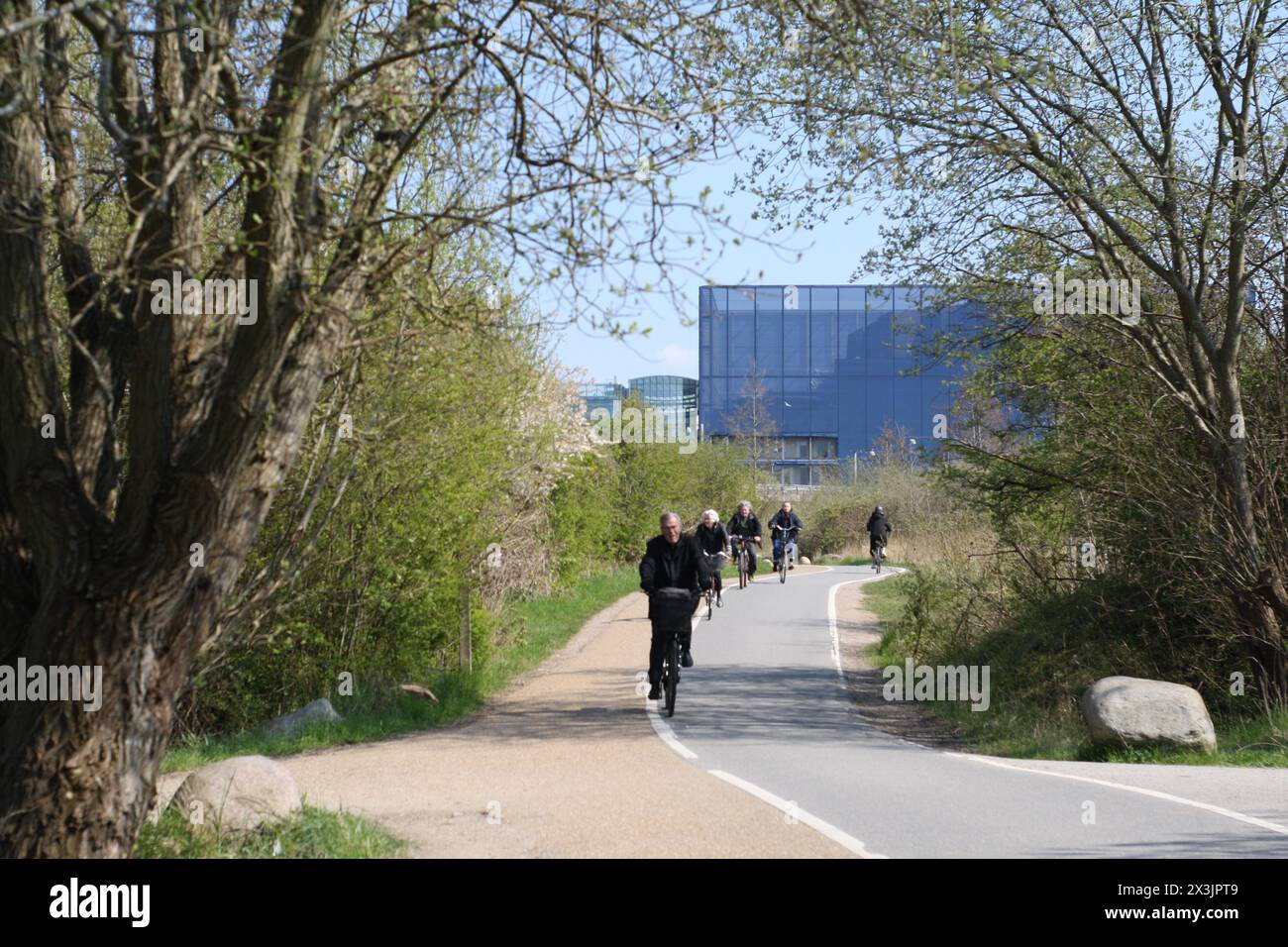 Andare in bicicletta come attività quotidiana a Copenaghen Foto Stock