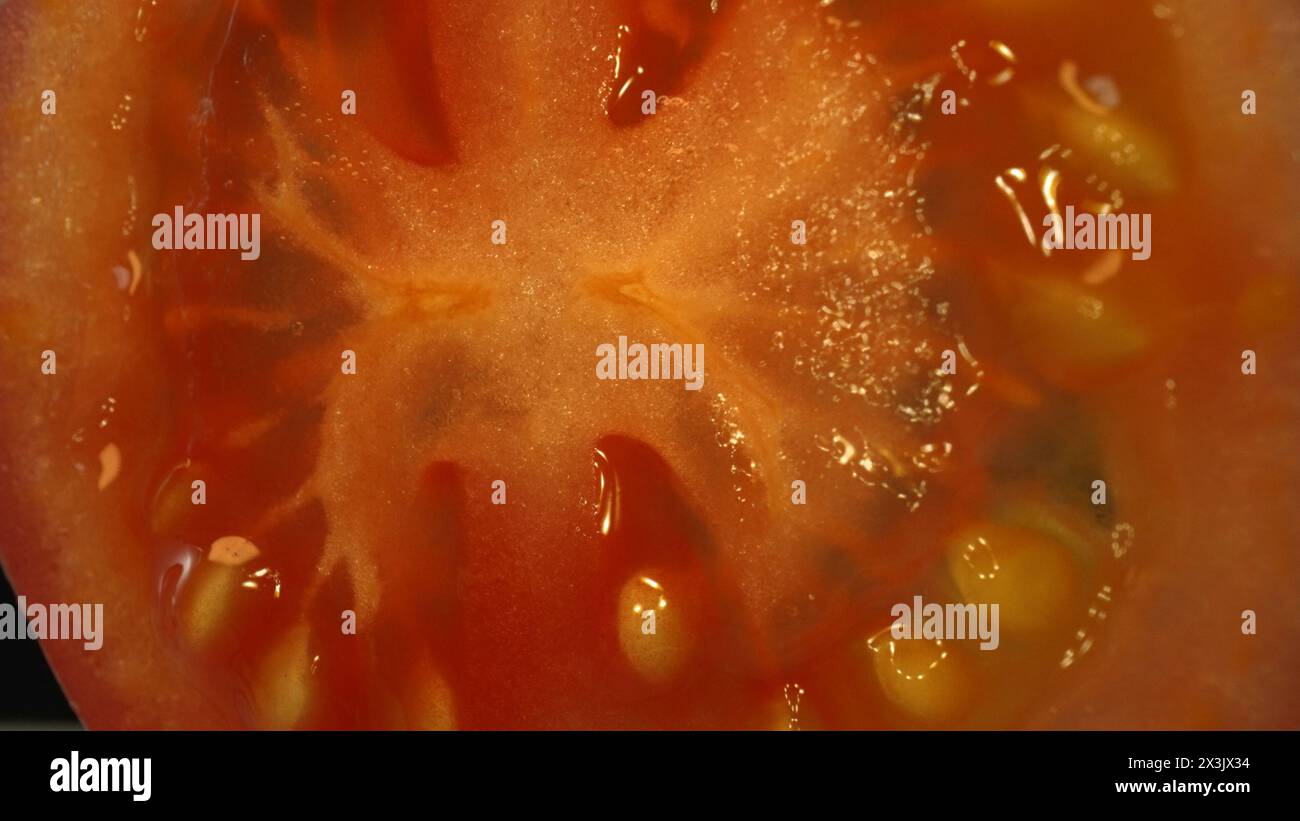 Macrofotografia di pomodori tagliati a fette. La polpa di pomodoro appare succulenta e tenera, con una leggera fermezza. Il pomodoro a fette brilla sotto la luce Foto Stock