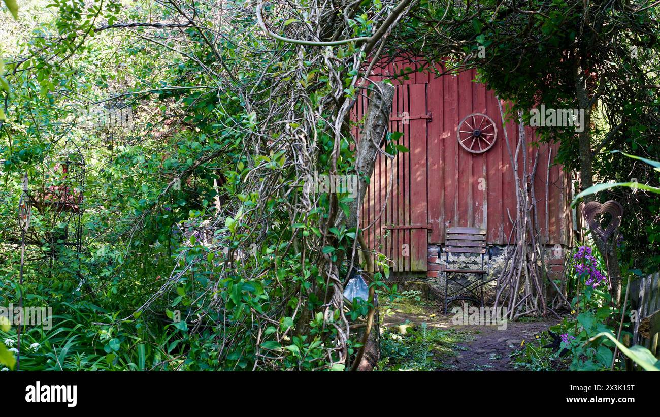 Un giardino natura in primavera. Guardando attraverso un arco su un capannone rosso e una sedia da giardino. Foto Stock