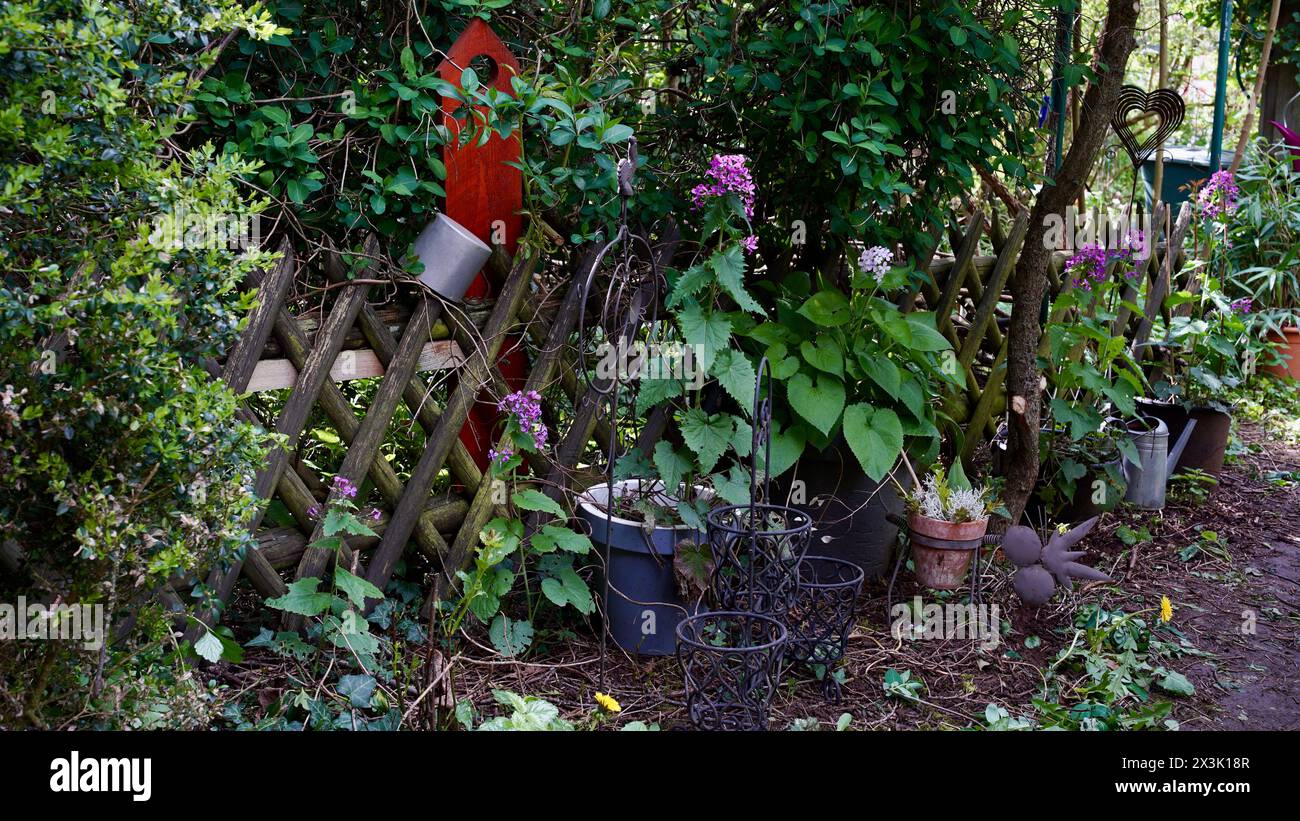 Un giardino naturale con vasi di fiori e una recinzione in primavera. Foto Stock