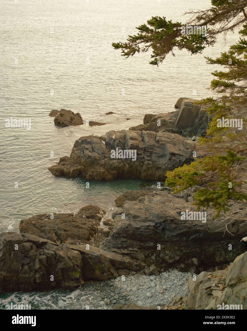 Scogliere lungo l'Oceano Atlantico a Cutler Coast Public Reserved Land a Cutler, Maine Foto Stock