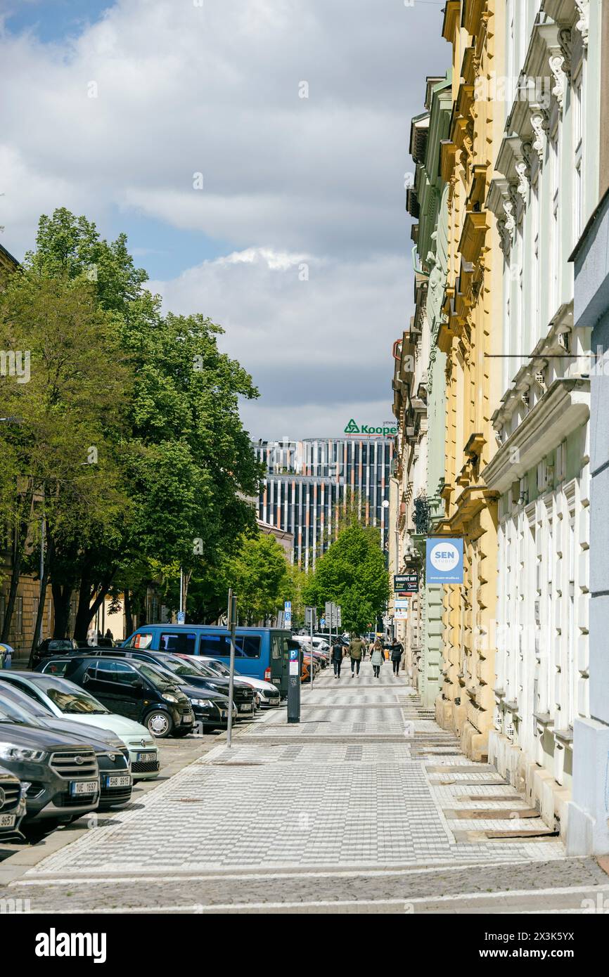 La via del quartiere Karlin di Praga con edifici storici. Foto Stock