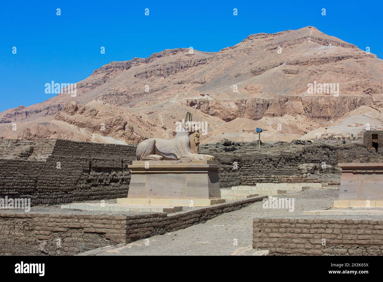 Statua dell'antico dio egizio Anubis (rappresentato come uno sciacallo) al Ramesseum sulla sponda occidentale di Luxor, in Egitto Foto Stock