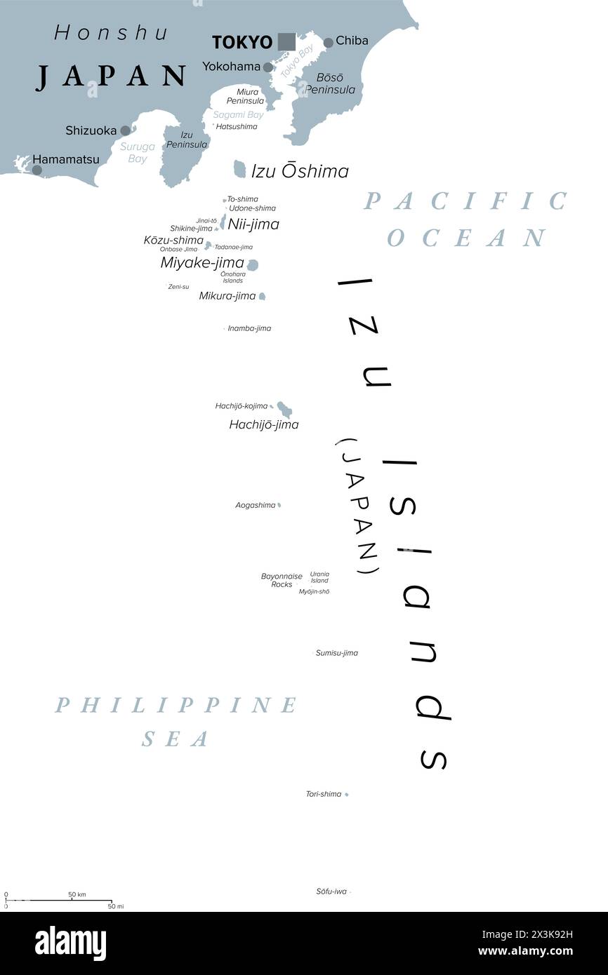 Isole Izu, gruppo di isole vulcaniche del Giappone, mappa politica grigia. Situato nel Pacifico, parte della Prefettura di Tokyo. Foto Stock