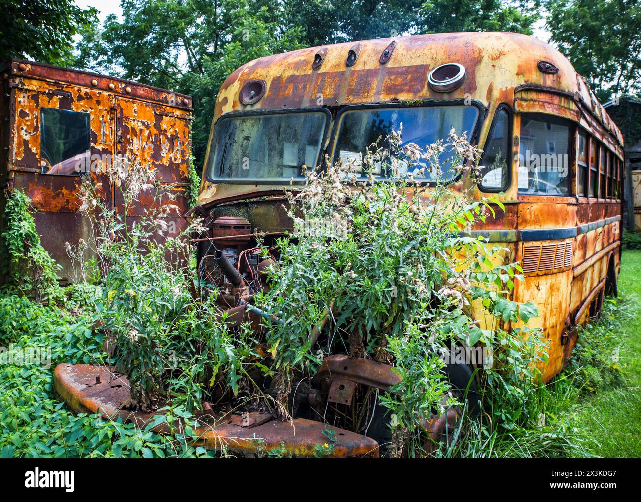 Scuolabus giallo arrugginito abbandonato in un ambiente all'aperto coperto Foto Stock